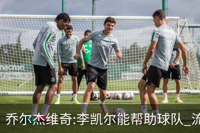 乔尔杰维奇:李凯尔能帮助球队 流程要去问篮协